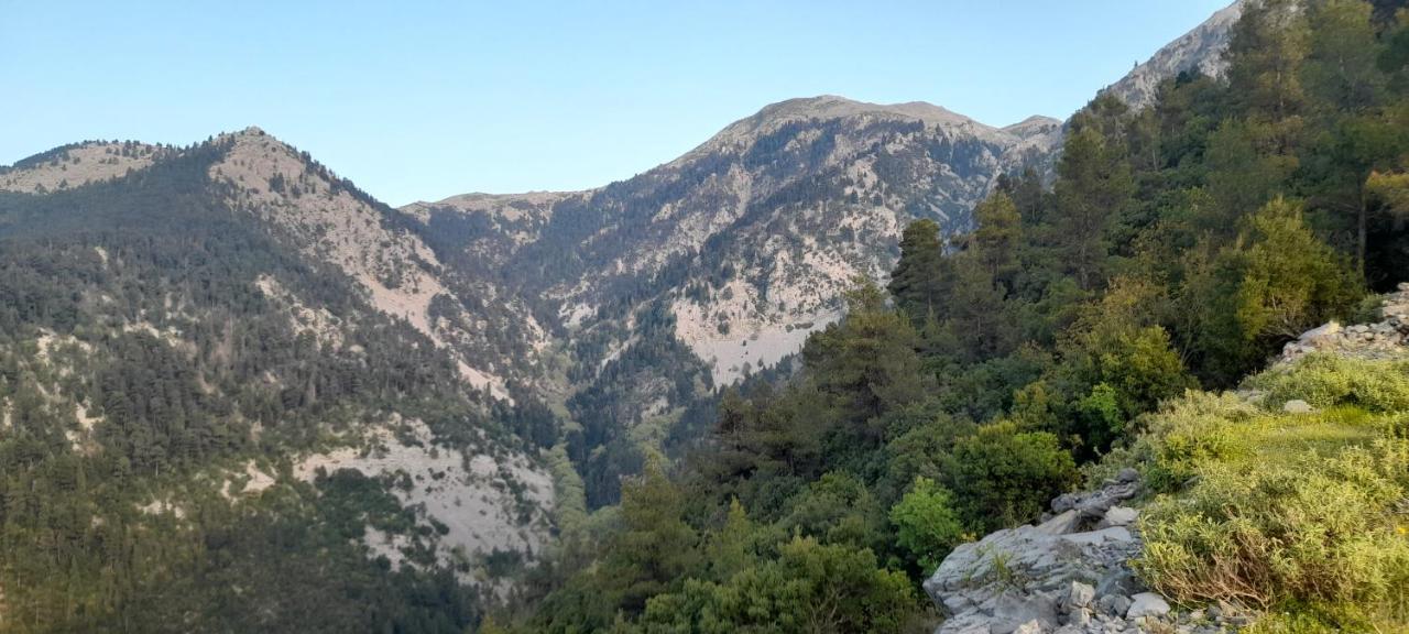 Το σπίτι της Ελένης Διαμέρισμα Vlachia Εξωτερικό φωτογραφία