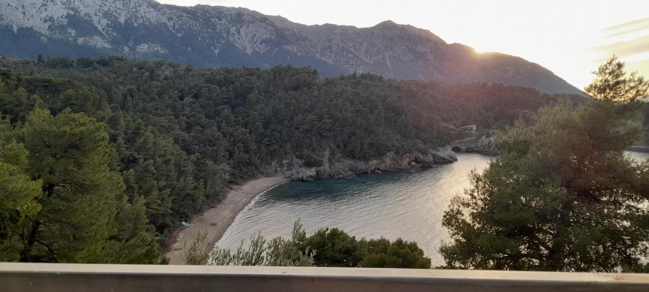 Το σπίτι της Ελένης Διαμέρισμα Vlachia Εξωτερικό φωτογραφία