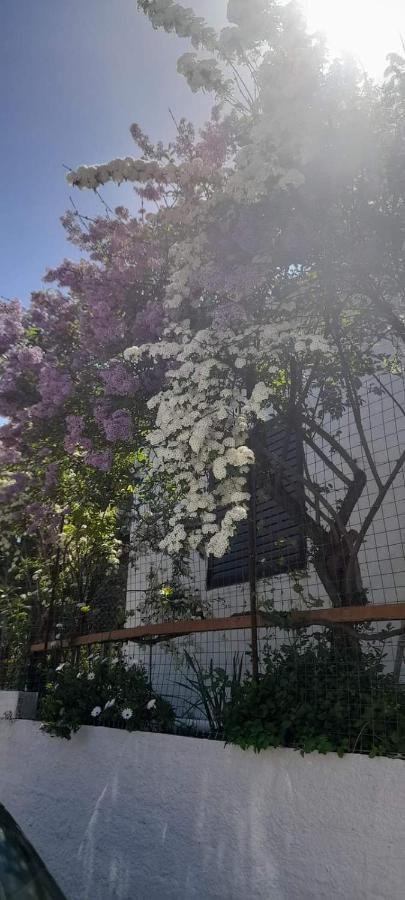 Το σπίτι της Ελένης Διαμέρισμα Vlachia Εξωτερικό φωτογραφία