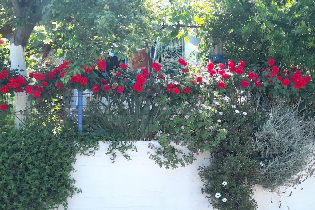 Το σπίτι της Ελένης Διαμέρισμα Vlachia Εξωτερικό φωτογραφία
