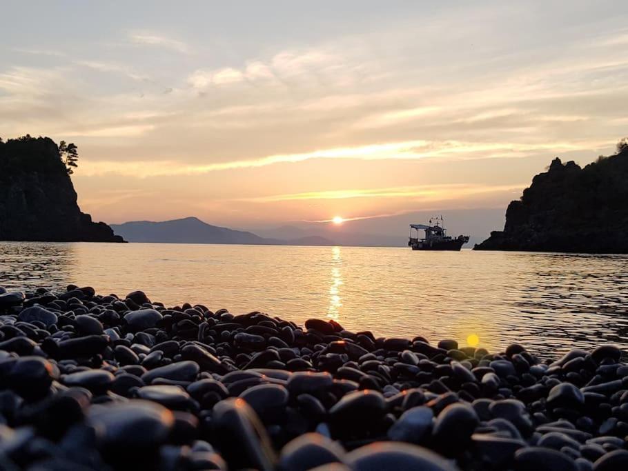 Το σπίτι της Ελένης Διαμέρισμα Vlachia Εξωτερικό φωτογραφία