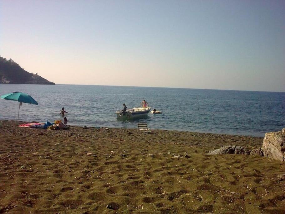 Το σπίτι της Ελένης Διαμέρισμα Vlachia Εξωτερικό φωτογραφία