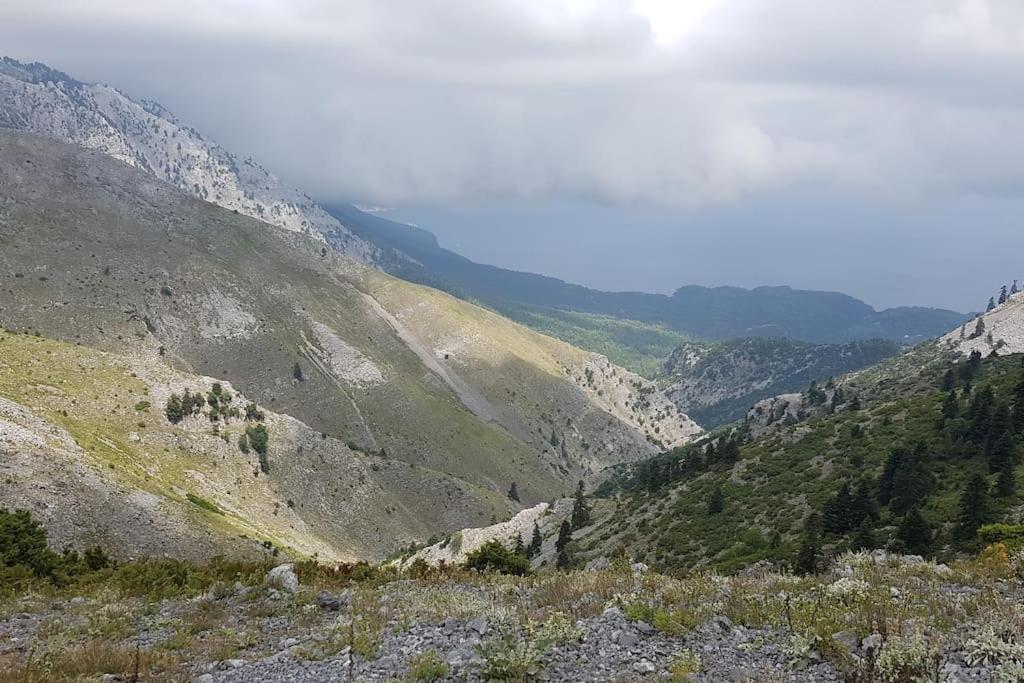 Το σπίτι της Ελένης Διαμέρισμα Vlachia Εξωτερικό φωτογραφία