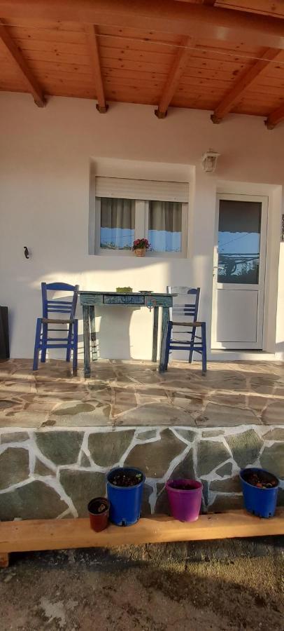Το σπίτι της Ελένης Διαμέρισμα Vlachia Εξωτερικό φωτογραφία