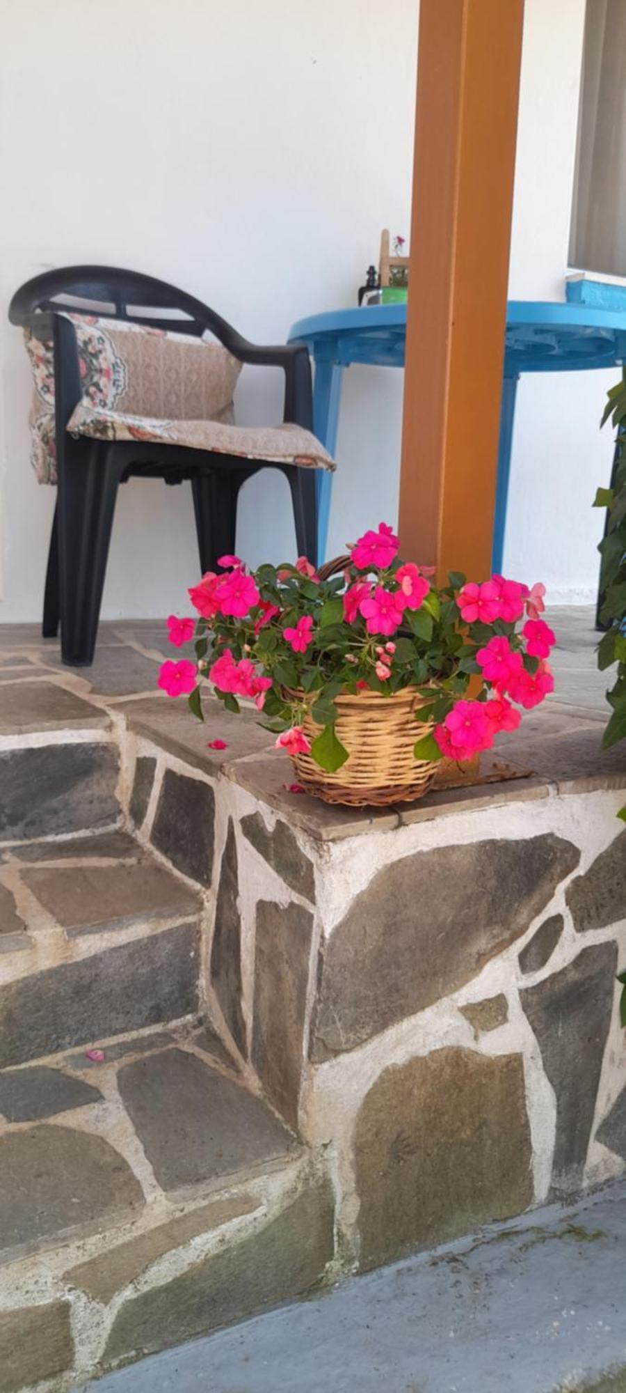 Το σπίτι της Ελένης Διαμέρισμα Vlachia Εξωτερικό φωτογραφία