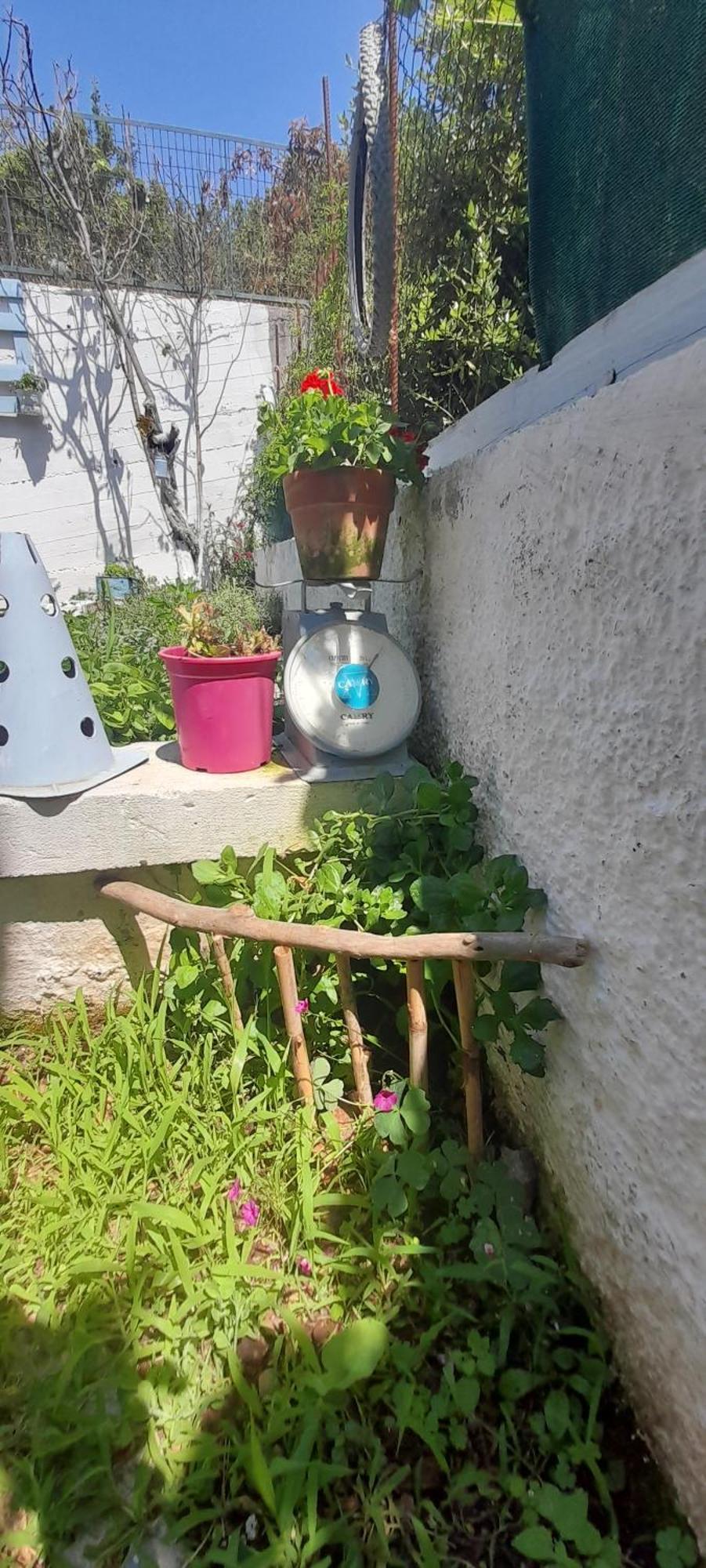 Το σπίτι της Ελένης Διαμέρισμα Vlachia Εξωτερικό φωτογραφία