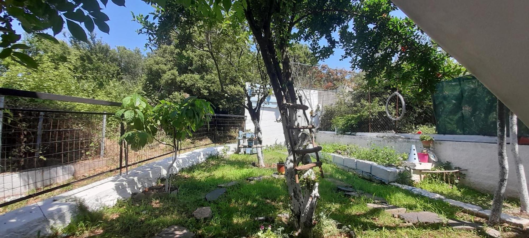 Το σπίτι της Ελένης Διαμέρισμα Vlachia Εξωτερικό φωτογραφία